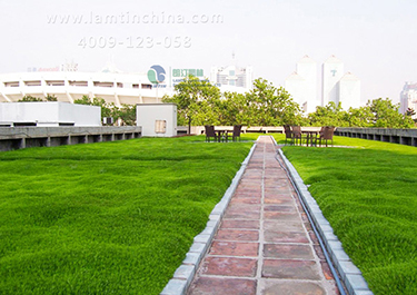 屋頂綠化工程 屋頂綠化工程