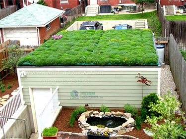 屋頂綠化公司 屋頂綠化公司