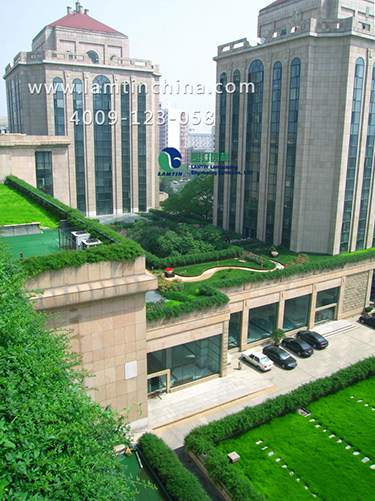 屋頂綠化 屋頂綠化