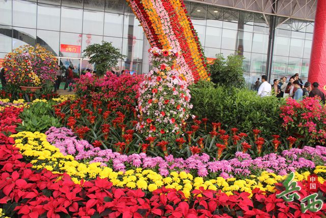 園林綠化 園林綠化