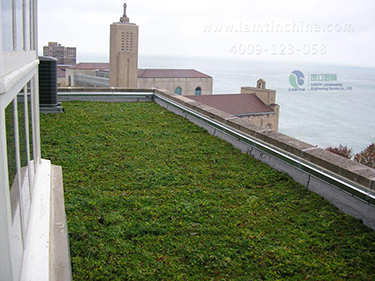 屋頂綠化 屋頂綠化