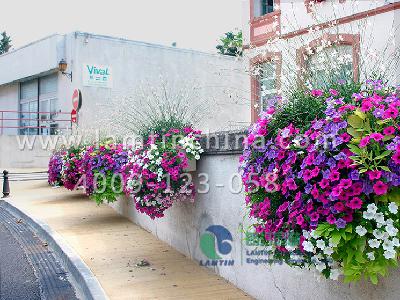 陽臺(tái)景觀綠化 陽臺(tái)景觀綠化