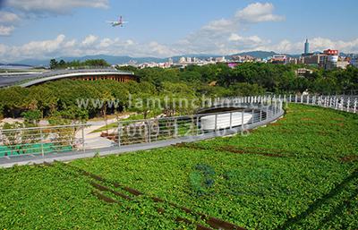 屋頂綠化工程 屋頂綠化工程