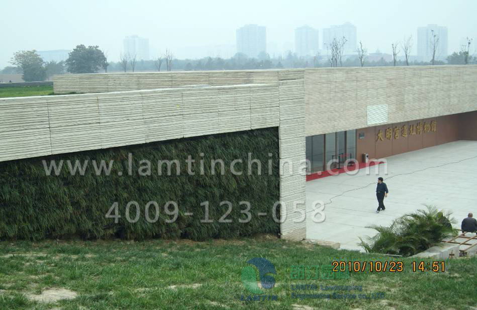 垂直綠化花盆 垂直綠化花盆