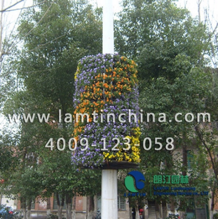燈桿綠化 燈桿綠化