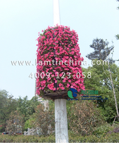 燈桿綠化 燈桿綠化