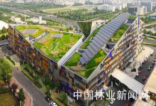 立體綠化 立體綠化