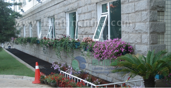 窗臺(tái)陽(yáng)臺(tái)綠化 窗臺(tái)陽(yáng)臺(tái)綠化