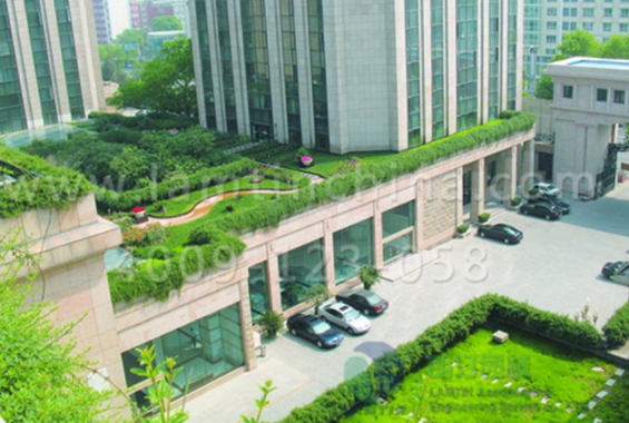 屋頂綠化 屋頂綠化