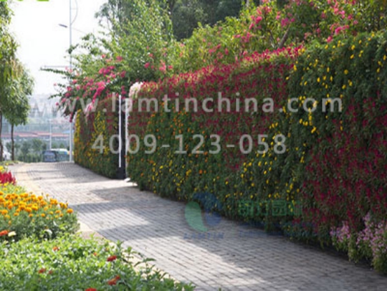 垂直綠化 垂直綠化