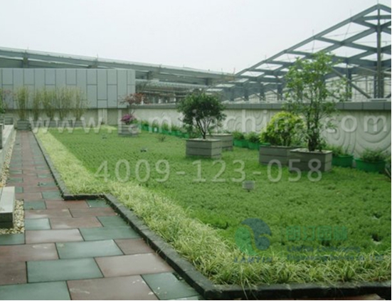 屋頂綠化花盆 屋頂綠化花盆