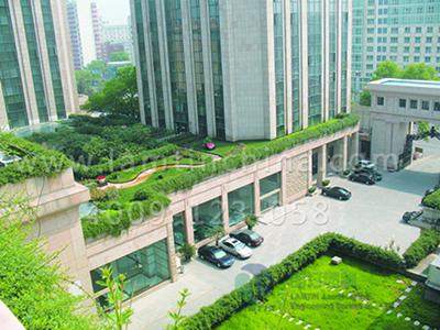 屋頂綠化花盆 屋頂綠化花盆