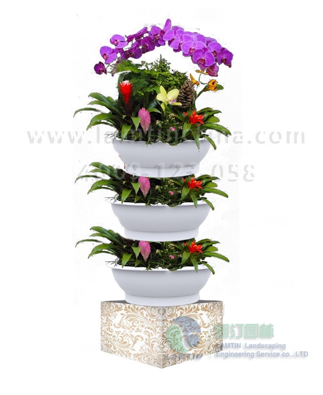 年宵花蓄水花盆 年宵花蓄水花盆