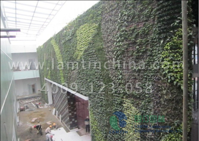 垂直綠化 垂直綠化