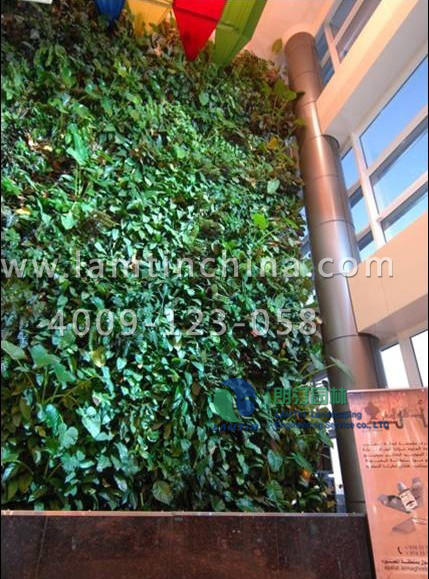 垂直綠化 垂直綠化