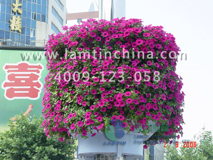 燈桿綠化 燈桿綠化