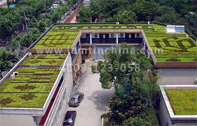 屋頂綠化 屋頂綠化