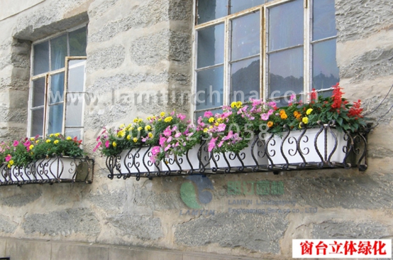 窗臺(tái)陽臺(tái)綠化 窗臺(tái)陽臺(tái)綠化