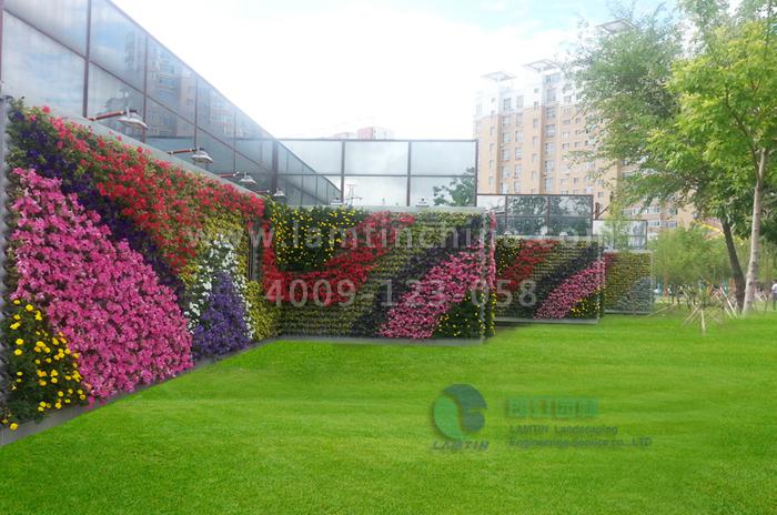 垂直綠化 垂直綠化