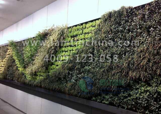 垂直綠化 垂直綠化