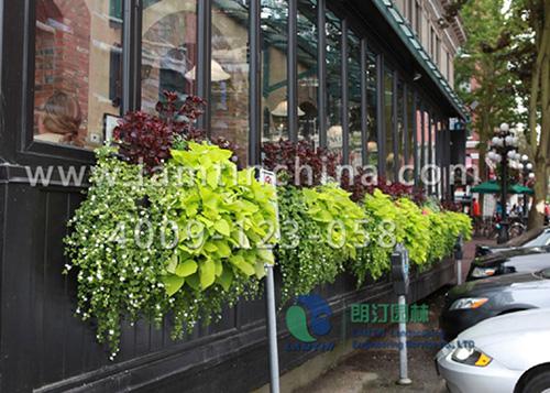 窗臺陽臺綠化 窗臺陽臺綠化