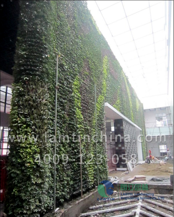 垂直綠化 垂直綠化