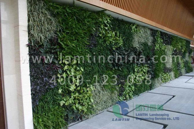 垂直綠化花盆 垂直綠化花盆