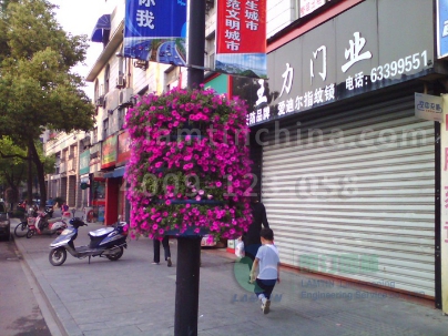 燈桿綠化 燈桿綠化