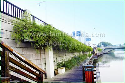 高架橋花盆 高架橋花盆