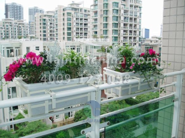 窗臺(tái)陽臺(tái)綠化 窗臺(tái)陽臺(tái)綠化