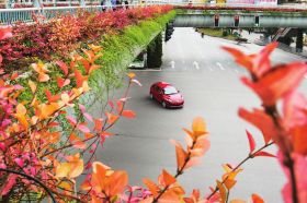 高架橋綠化 高架橋綠化