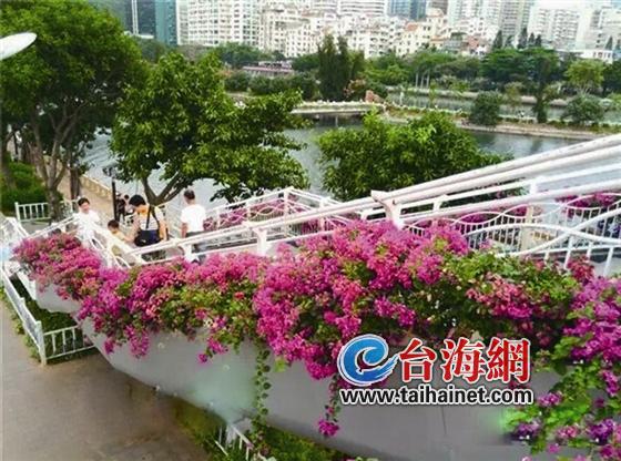 立體綠化 立體綠化