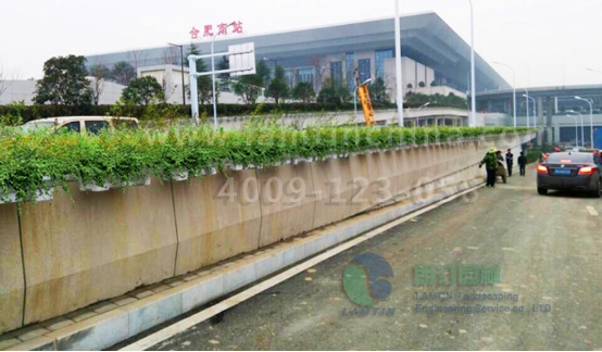 高架橋花盆 高架橋花盆