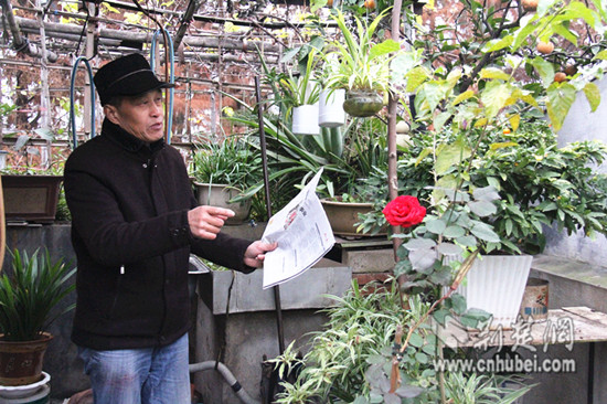 立體綠化 立體綠化