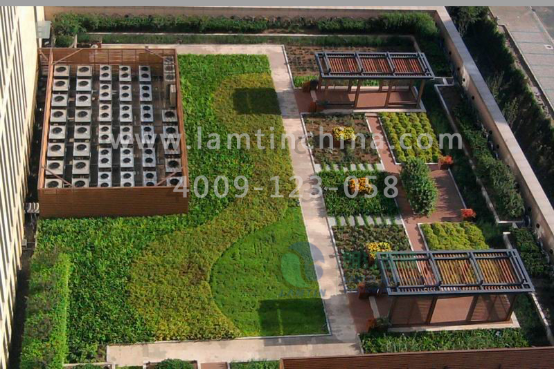 屋頂綠化花盆 屋頂綠化花盆