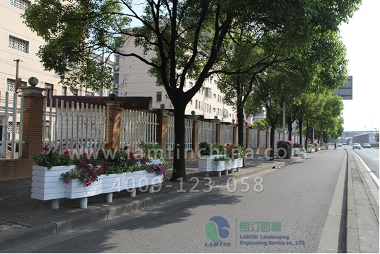 隔離花箱 隔離花箱