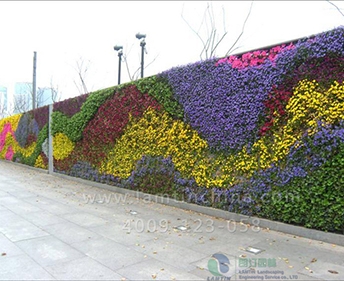 墻面綠化 墻面綠化