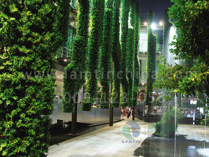 墻面綠化 墻面綠化