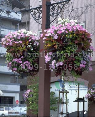 燈桿綠化 燈桿綠化