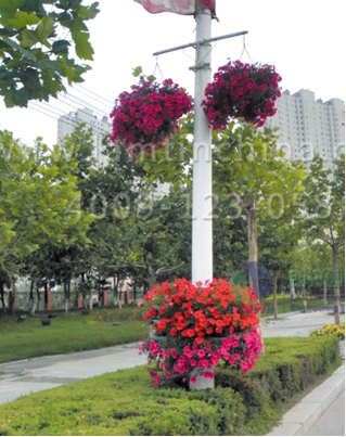 燈桿綠化 燈桿綠化