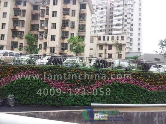 墻面綠化 墻面綠化