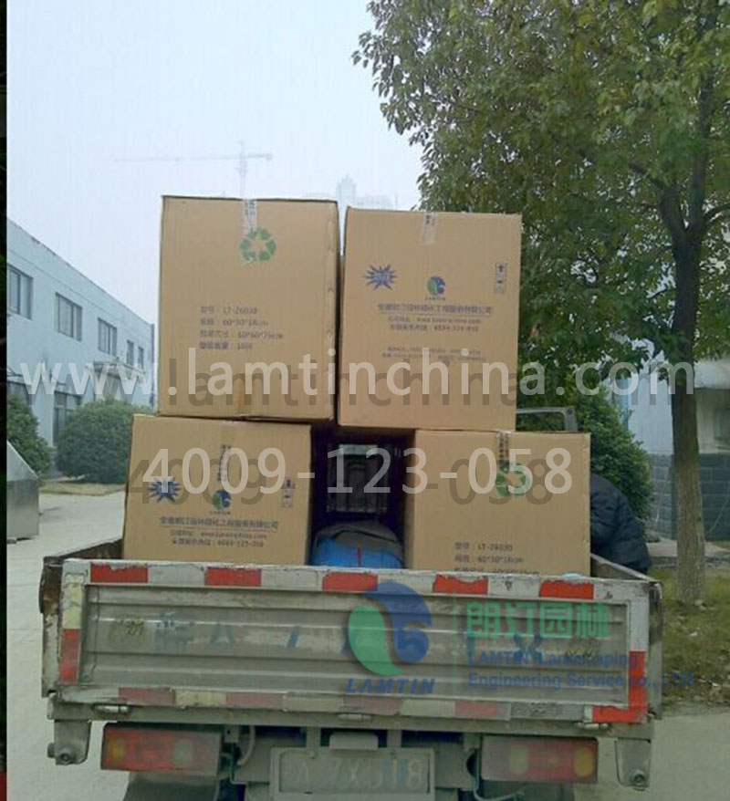 墻面綠化 墻面綠化