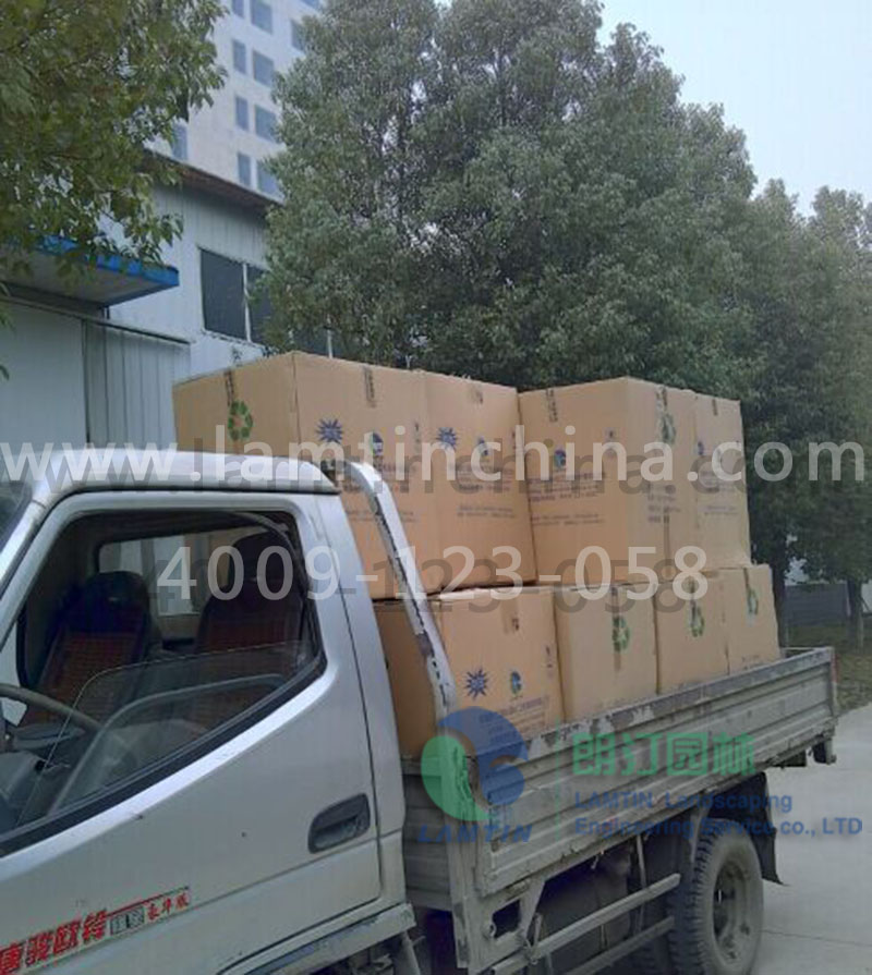 墻面綠化 墻面綠化