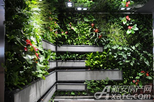 立體綠化 立體綠化