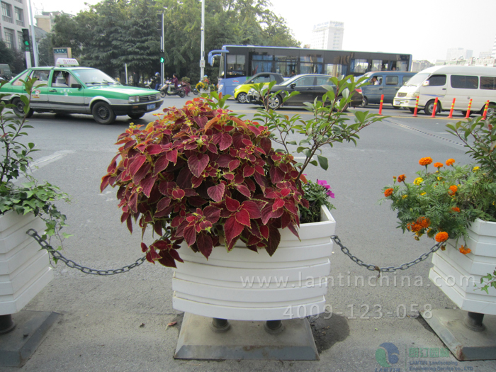 花箱廠家 花箱廠家