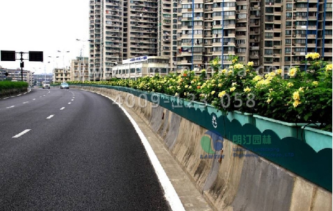 高架橋花盆 高架橋花盆