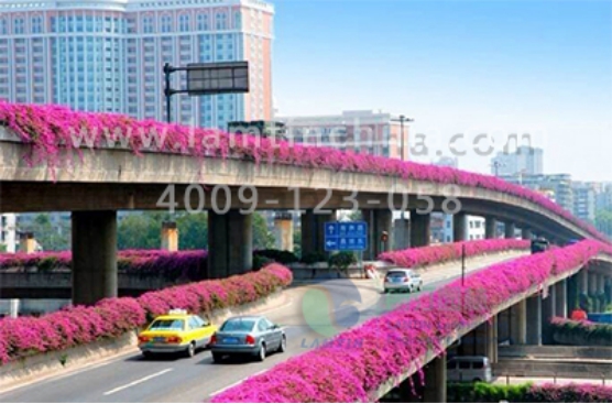 高架橋綠化 高架橋綠化