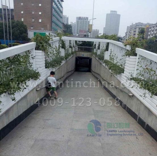 花箱廠家 花箱廠家