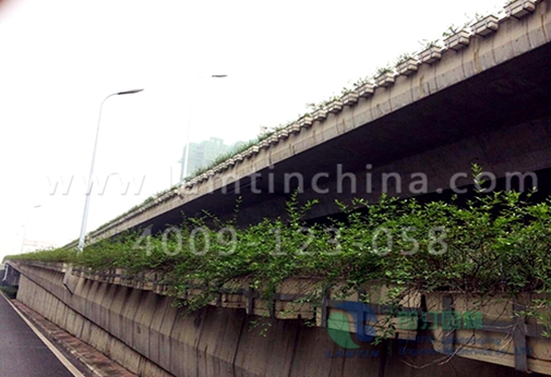 高架橋綠化