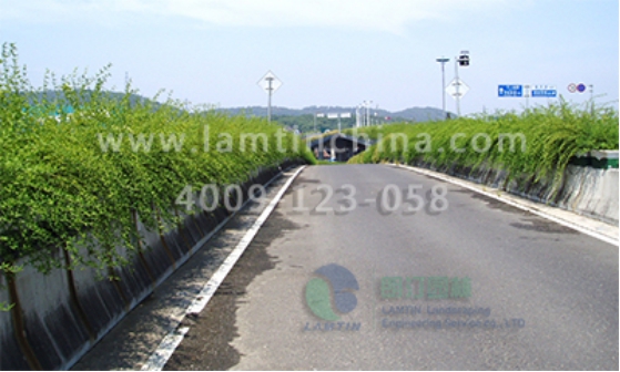 高架橋綠化花盆 高架橋綠化花盆